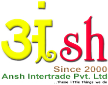 Best professional translation company from India